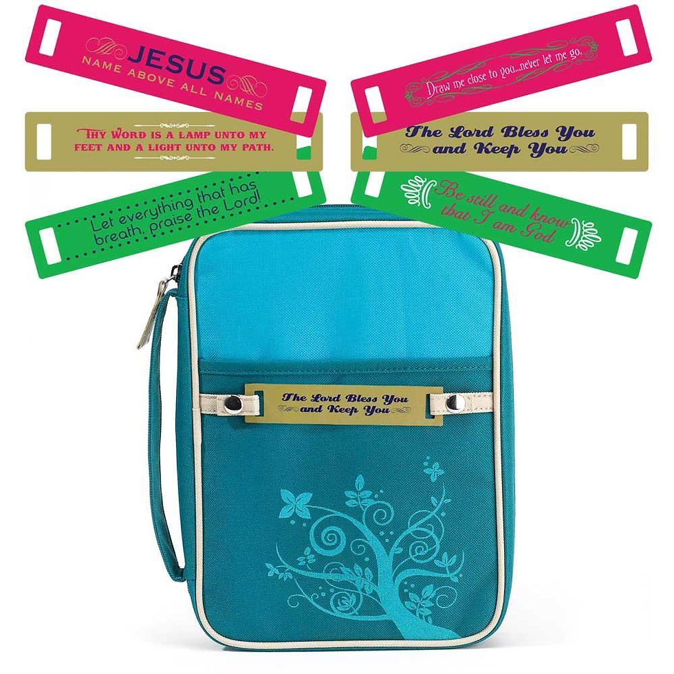 TURQUOISE CHANGEABLE TAG BIBLE COVER