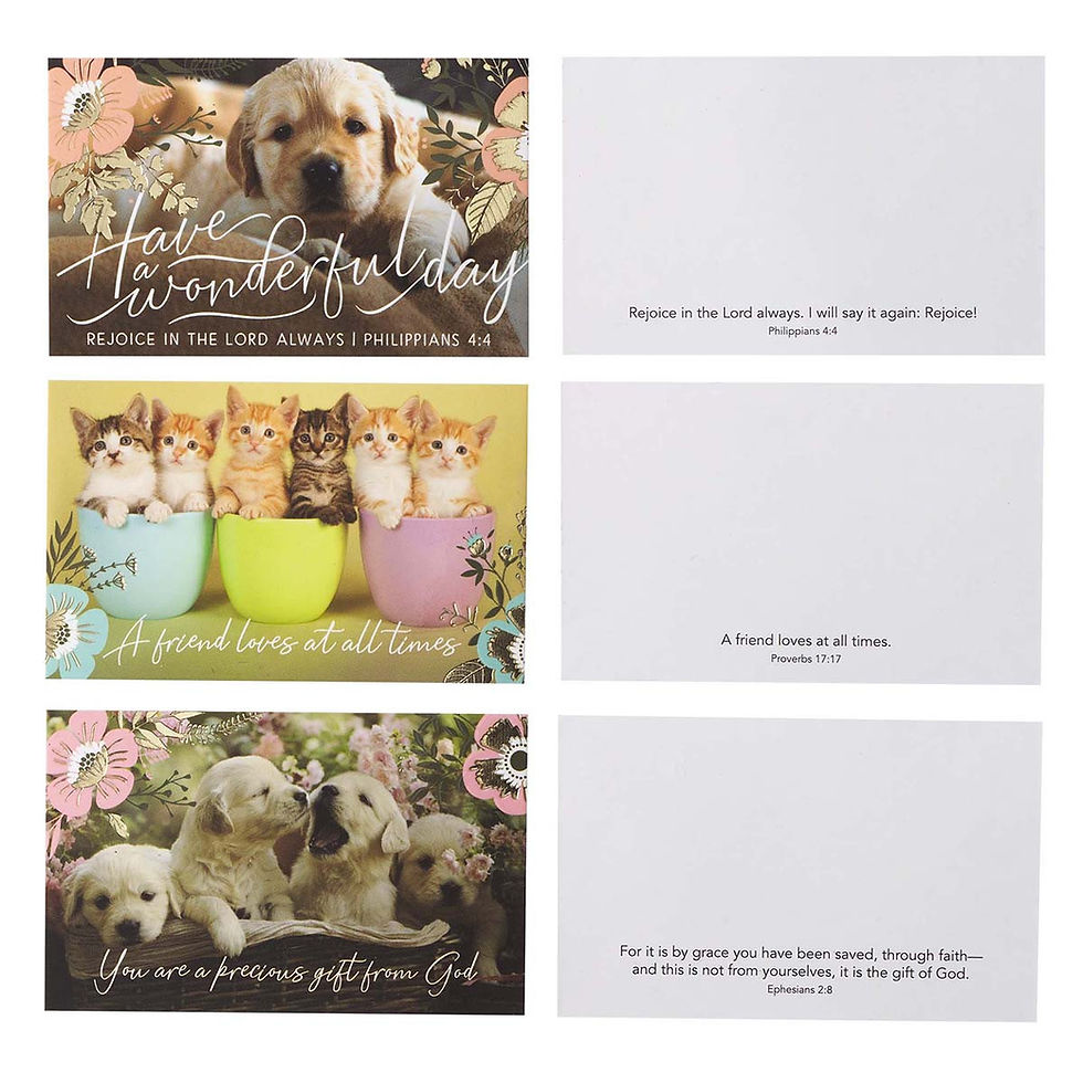 Thumbnail: Little Box of Friendship Pass Around Cards