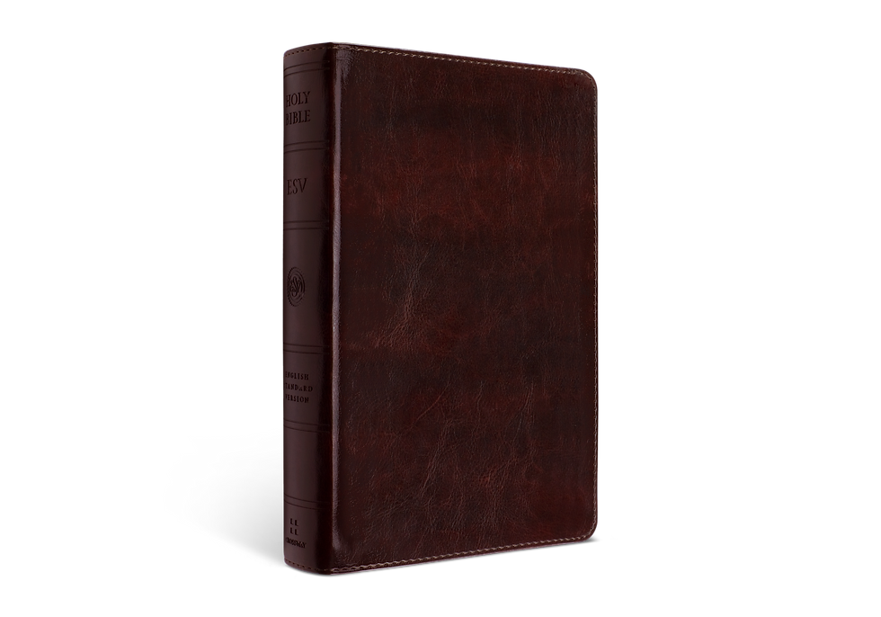 ESV Large Print Personal Size Bible TruTone®, Mahogany