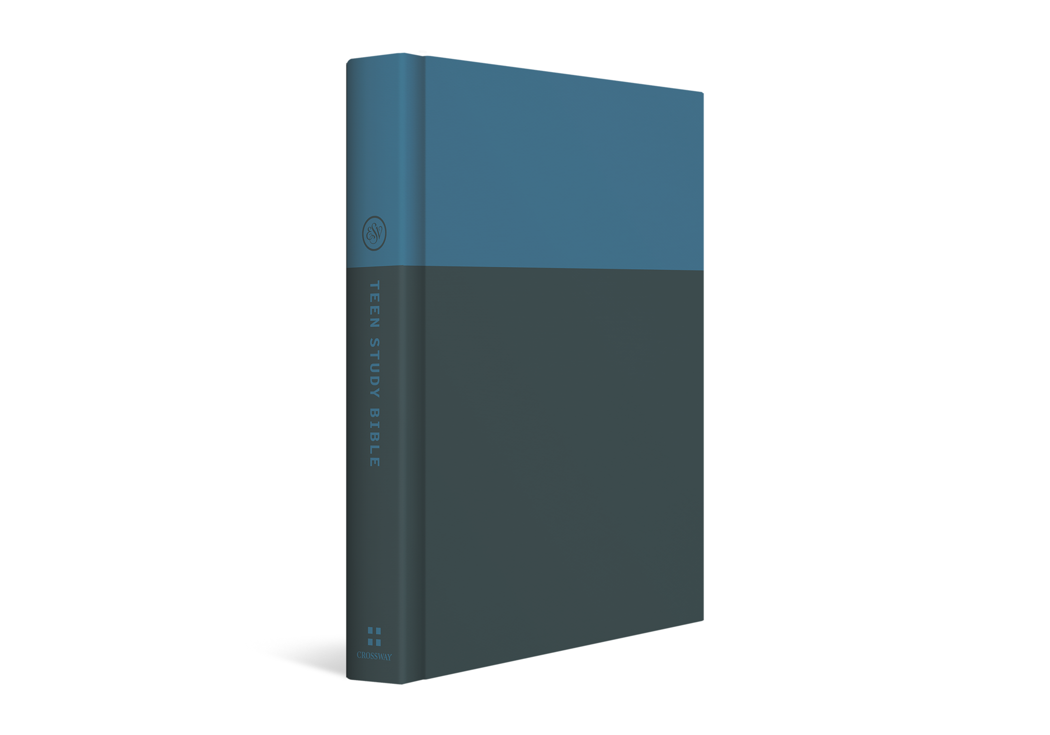 ESV Teen Study Bible