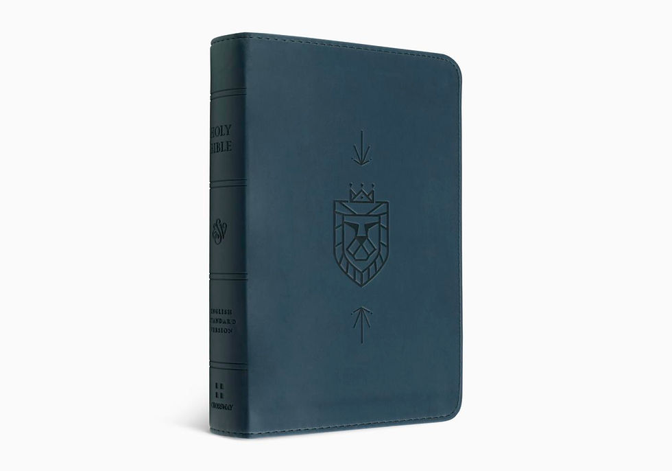 ESV Kid's Bible Thinline Blue with Lion