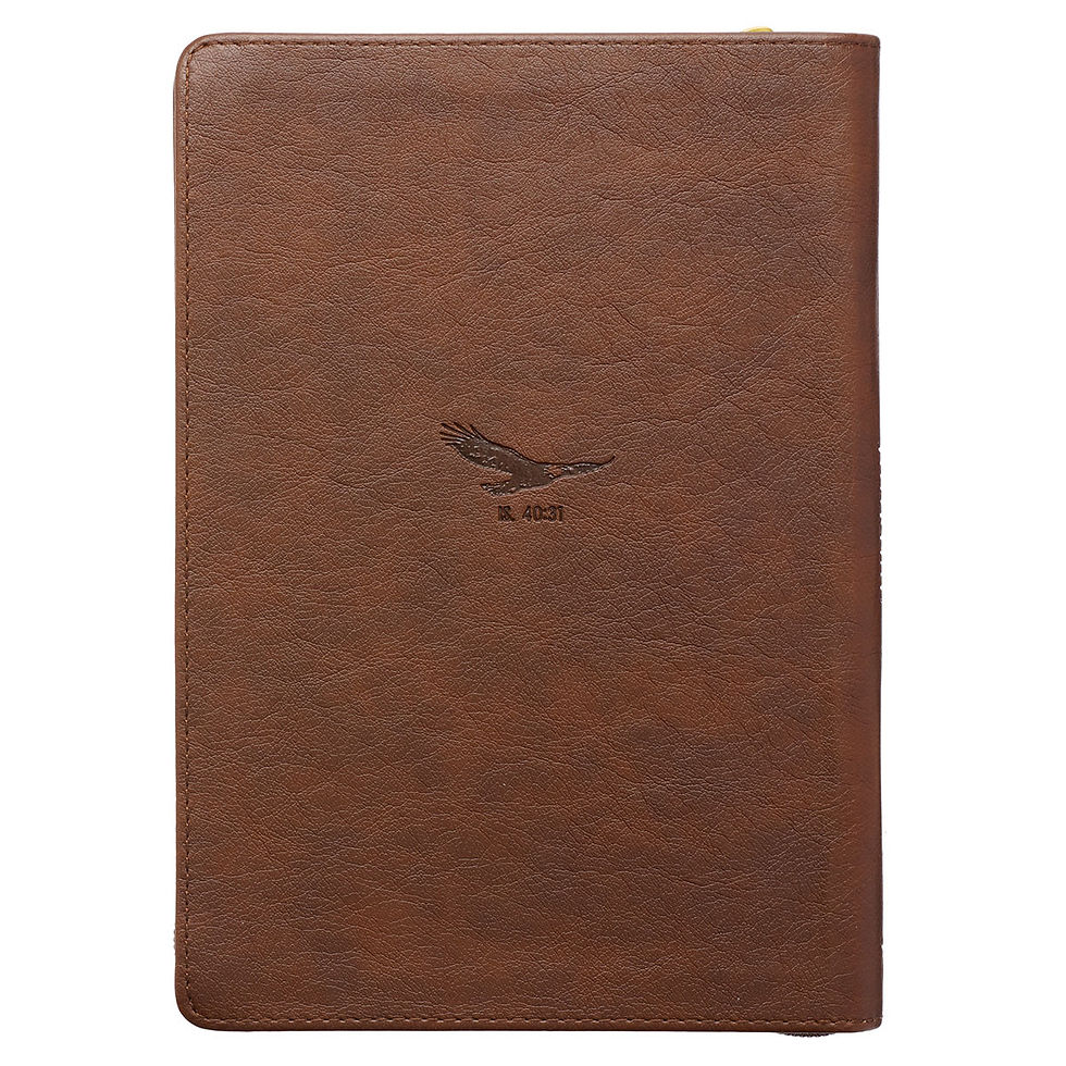 Thumbnail: Soar Brown Faux Leather Classic Journal with Zipped Closure - Isaiah 40:31