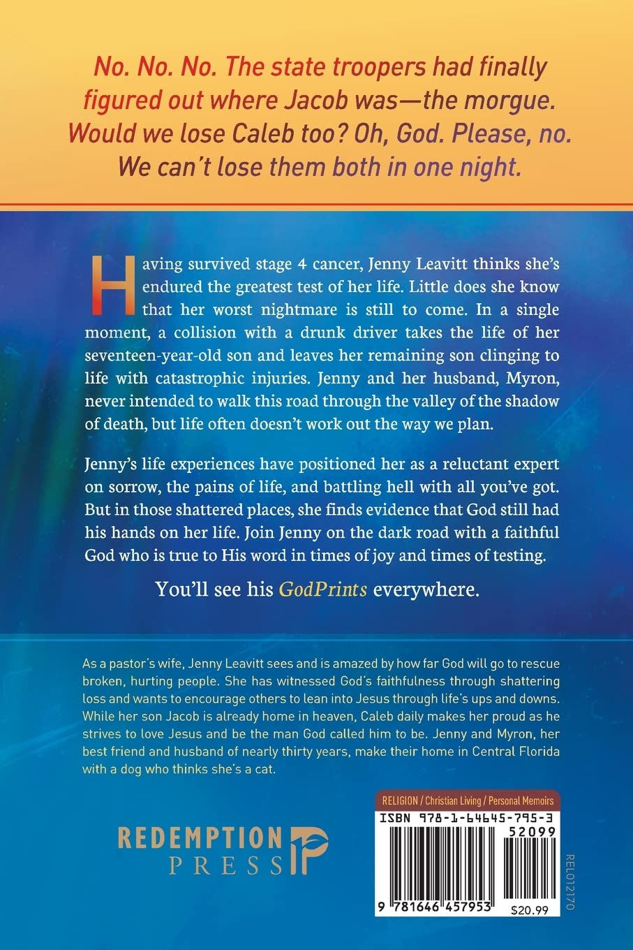 Thumbnail: GodPrints: Finding Evidence of God in the Shattered Pieces of Life By: Jenny Leavitt