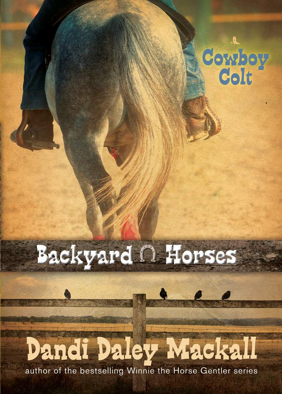 Cowboy Colt Backyard Horses by Dandi Daley Mackall book 2