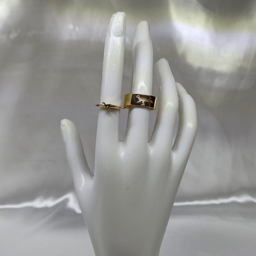 Miniatura: Anillos para compartir Dinosaurio