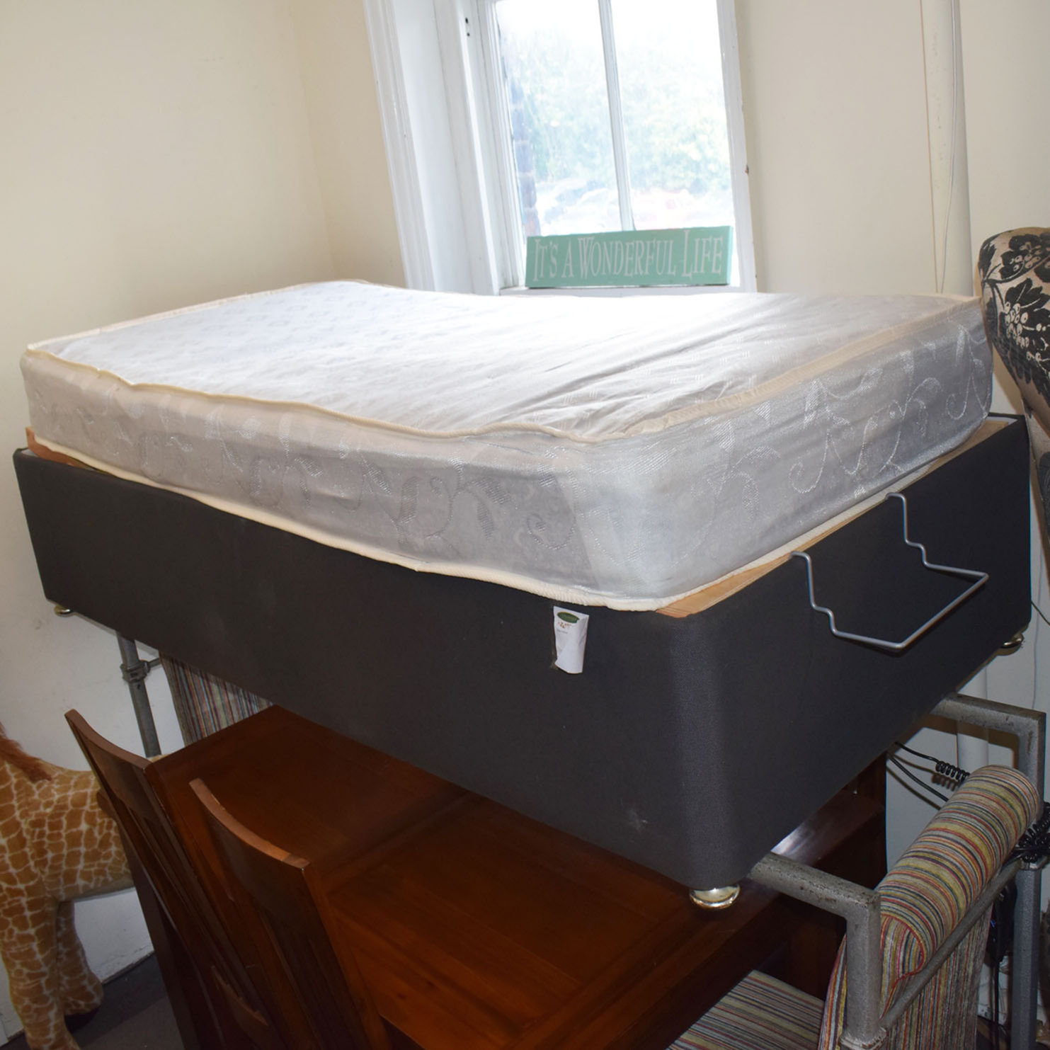 Electric Single Bed