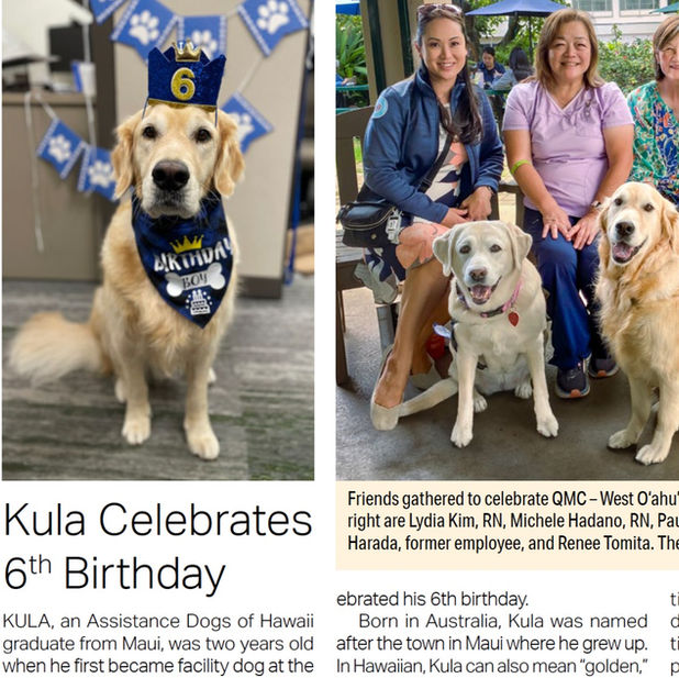 News article with picture a golden retriever in a birthday bandana and hat with the number 6; group of people smiling with dogs to celebrate Kula.