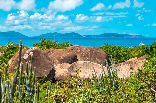 British Virgin Islands_1.png