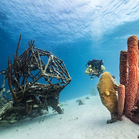 Curacao-3.jpg