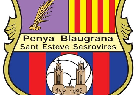 2020.logo PB SES.jpeg
