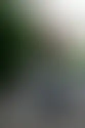 JACK SCHLOSSBERG: GEN-Z'S POLITICAL CORRESPONDANT