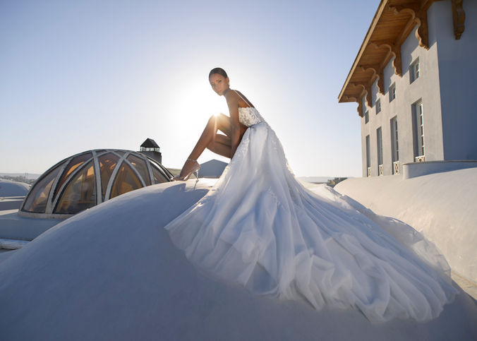 NB Hayden 21403  (4).jpg