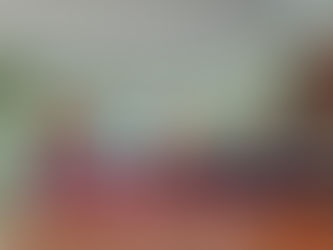 Career Orientation Project