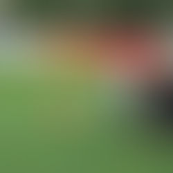 The educators of Dinamo Bridge conducted a master class for the first graders of the GAS