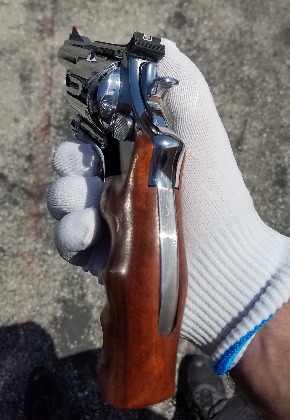 High Polished Smith & Wesson 629