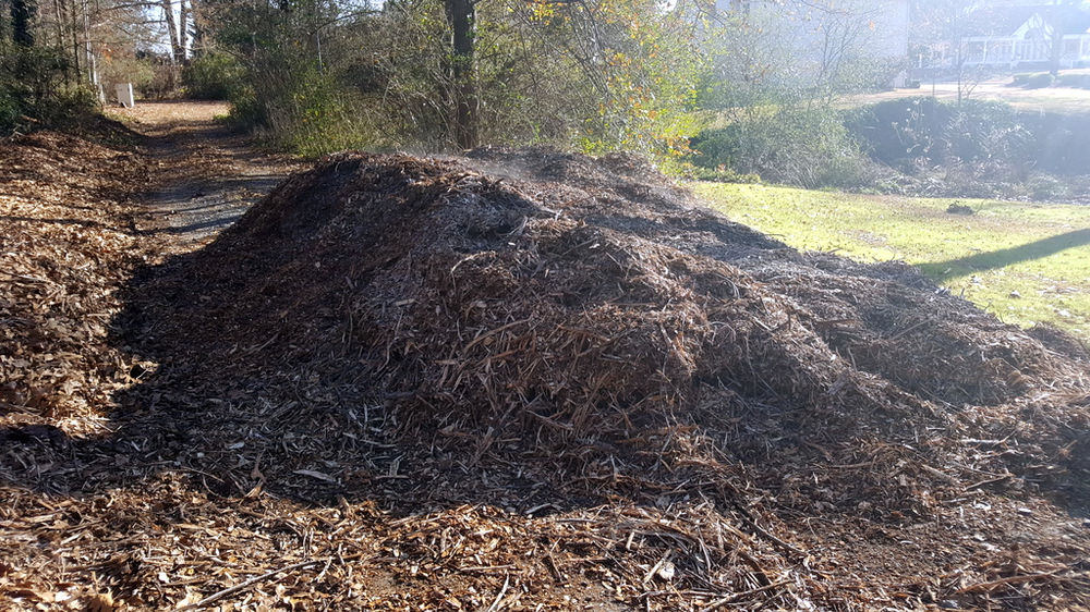 Tree Trimming and Free Mulch