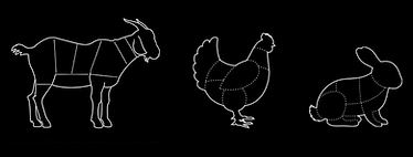 ANIMALSBLACK.png