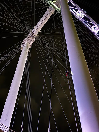 WhatsApp Image 2025-01-28 at 00.31.18_d6166815.jpg