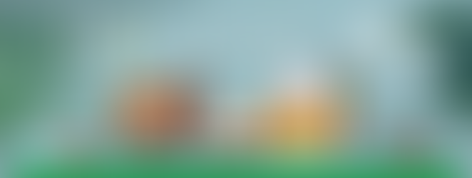 Jays Bakery Cakes & Pastries at Dairyfresh Cash and Carry in Birmingham