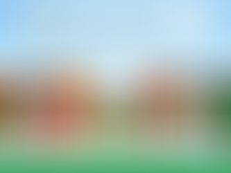 Sauces Wholesaler in Birmingham | Dairyfresh Ltd