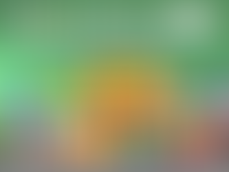 Wholesale Canned Goods that Sells:Trusted Tins for Shops, Cafés & Caterers