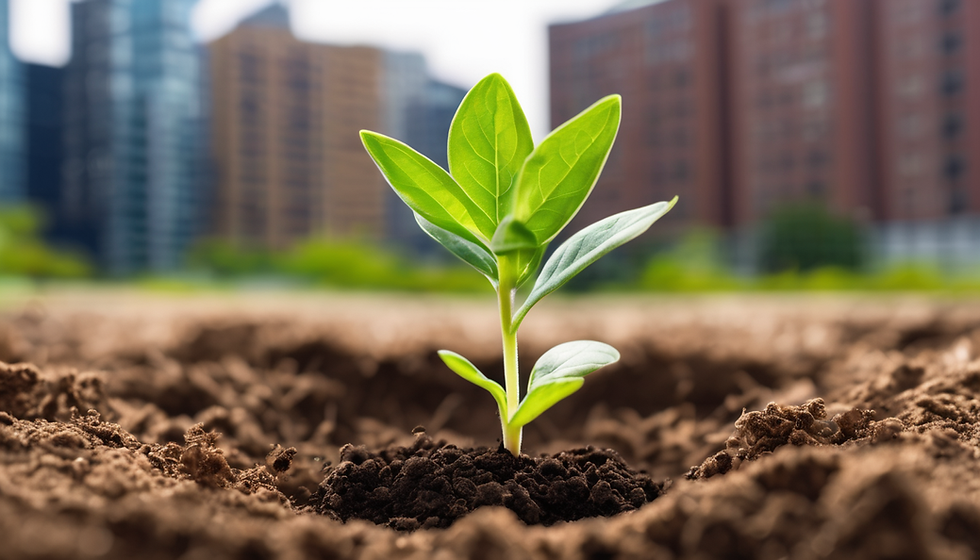 Urban Gardening for Youth