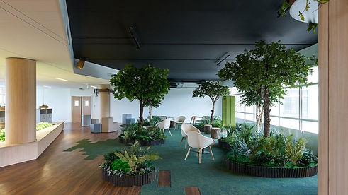 Interface franceLE-PLATEAU-VIVANT_DSC03744_edited.jpg