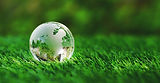 globo-de-vidro-de-terra-cristal-em-grama-verde-no-jardim-de-mundo-seguro-salvar-o-planeta-