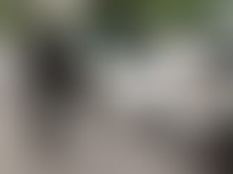 Presencia militar garantiza paz y tranquilidad en Navidad y Año Nuevo