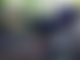 Autoridades erradican plantación de coca vinculada a estructura criminal en Colón