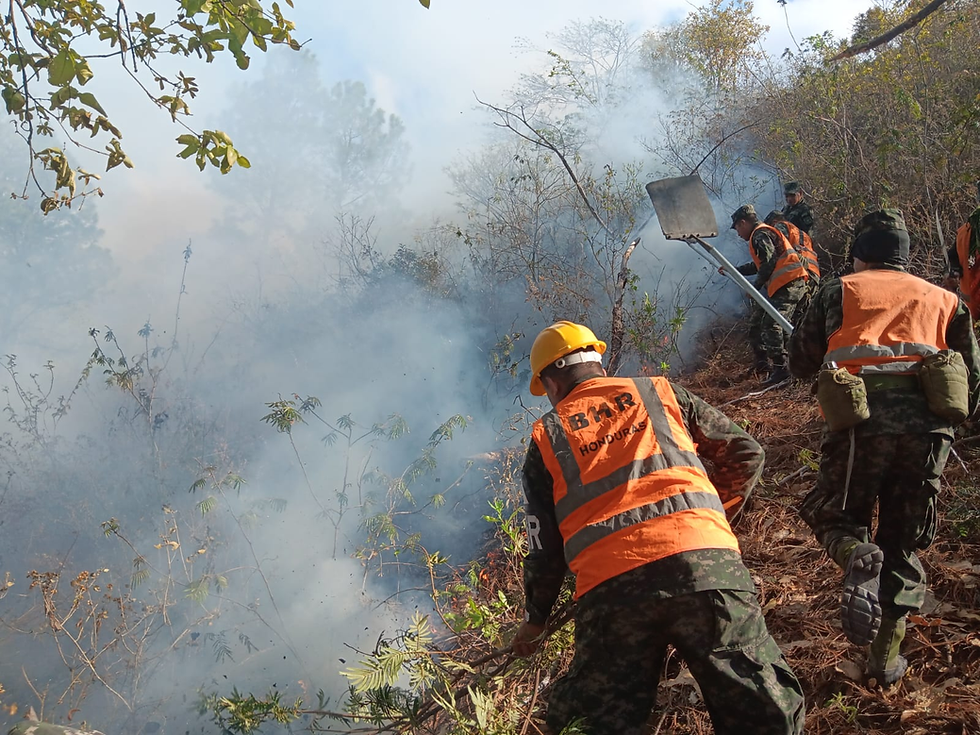 Bajo fuego y calor extremo: héroes luchan contra incendio en San Buenaventura