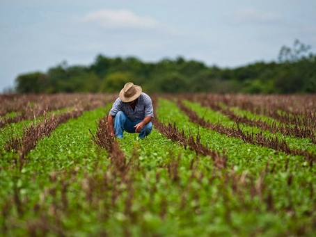 Banadesa recibirá L 300 millones para fortalecer a productores