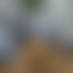 FF.AA. combaten 240 incendios forestales en lo que va del año