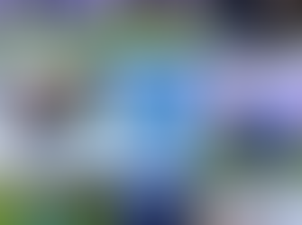 Honduras ajusta su once tras dos bajas y enfrentará a Perú esta tarde