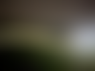 Fuerzas Especiales mejora áreas de adiestramiento