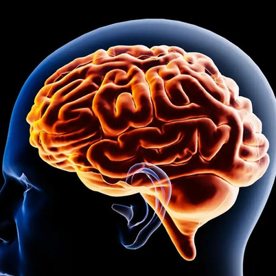 Secretaria de salud fortalece neurología con adquisición de un creneótomo electrónico