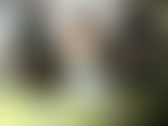 Capturan a alias "Sentimiento" en la Colonia Los Pinos