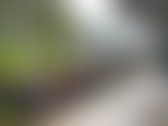 Fuerzas Armadas acercaron salud, atención y solidaridad a numerosas familias