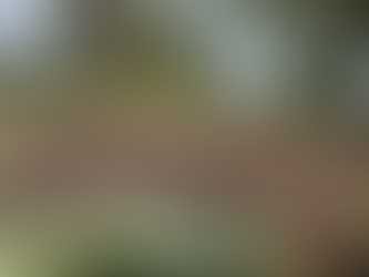 Autoridades descubren ocupación ilegal en Parque Nacional La Tigra y detienen a un ciudadano armado.