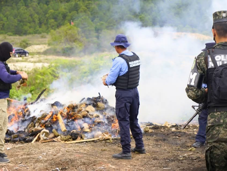 Incineran 985 paquetes de marihuana