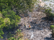 Respuesta inmediata permite sofocar incendio en zona del Parque Nacional Picó Bonito