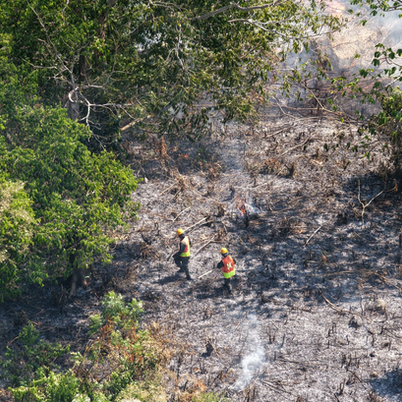 Respuesta inmediata permite sofocar incendio en zona del Parque Nacional Picó Bonito