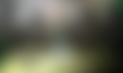 Requieren a presunto integrante de la estructura criminal MS-13