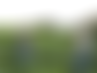 Productores de Olancho impulsan la adopción de frijol con mayor valor nutricional