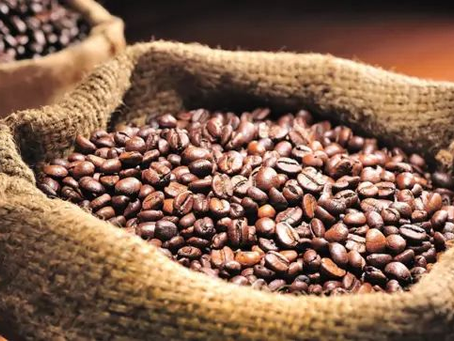 ADECAFEH ve con optimismo propuesta de la UE para aplazar Ley de Deforestación