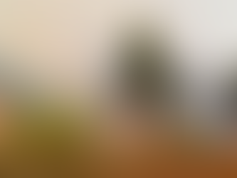 Incendio forestal arrasa más de 80 hectáreas de bosque en la zona oriental de Cuba