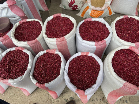 Garantizan abastecimiento de frijol en Comayagua y La Paz con precios accesibles