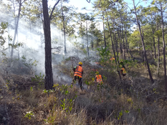 Fuerzas Armadas combaten cinco incendios a nivel nacional