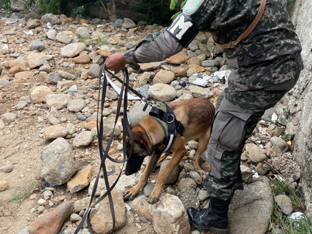 Buzos de combate y binomios caninos especializados continúan en la búsqueda de niño arrastrado por una quebrada