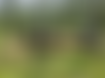 FF.AA. refuerzan acciones contra la deforestación en Santa Bárbara